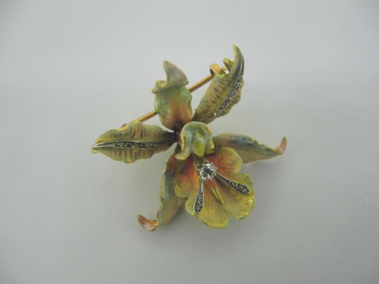 Nessuna immagine impostata 