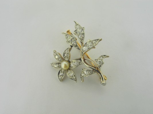 Nessuna immagine impostata 